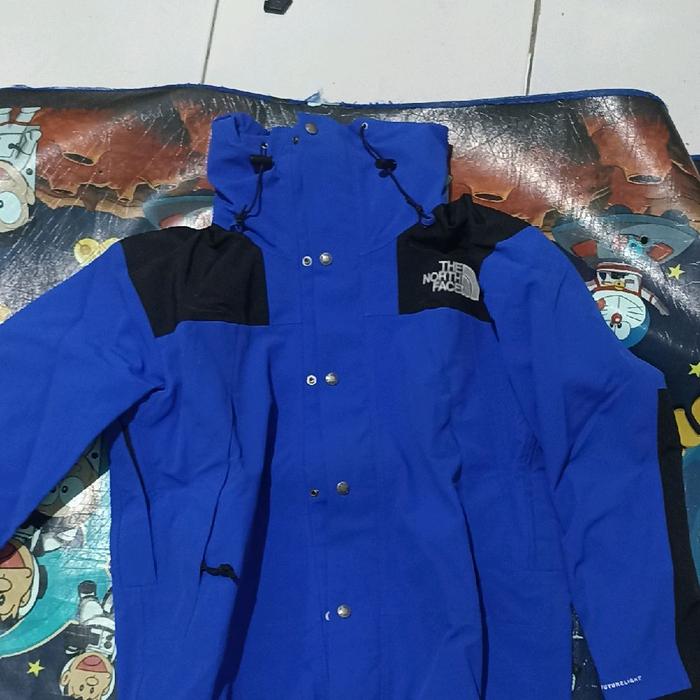 jaket the north face future light