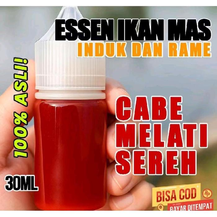 Essen ikan oplosan aroma cabe melati
