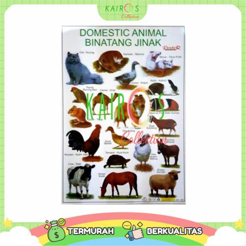 Poster Anak Edukasi - Binatang Jinak 1