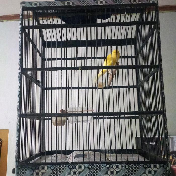 Cankurozsbird.shop Kandang Burung Besar dengan Desain Elegan dan Fungsional untuk Kesejahteraan Buru
