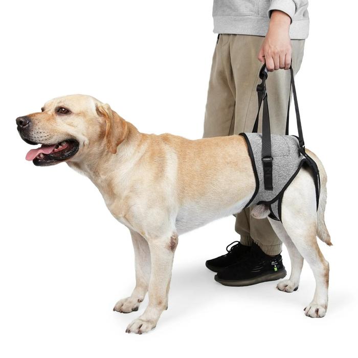 Dog Harness Support Brace Dog Lift Harness Adjustable Pet Rear Leg