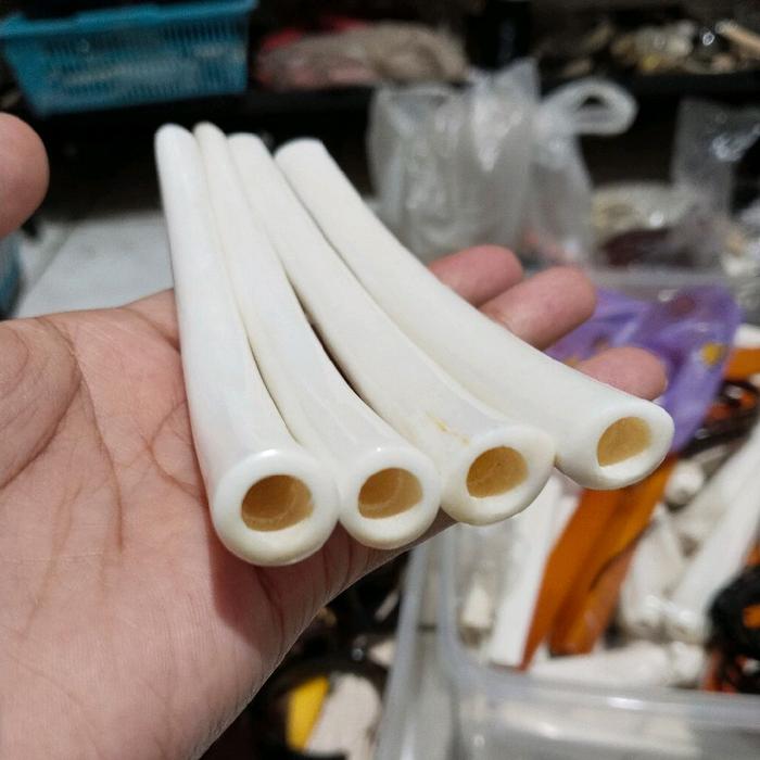 Once pipa iga duyung lengkung panjang 13cm