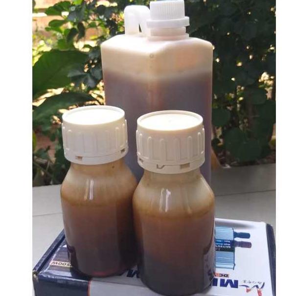 MADU ASLI MURNI (HUTAN SIALANG) 1KG