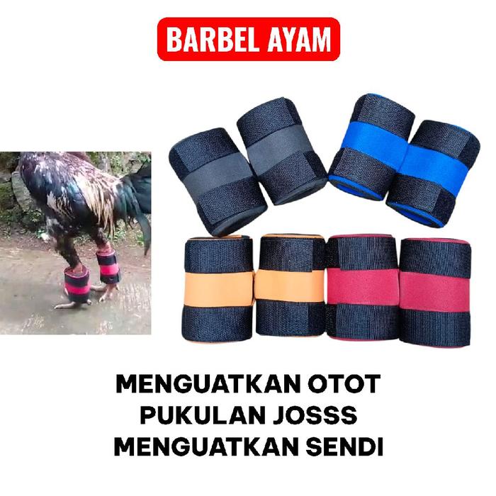 BARBEL AYAM 500g Latih otot ayam