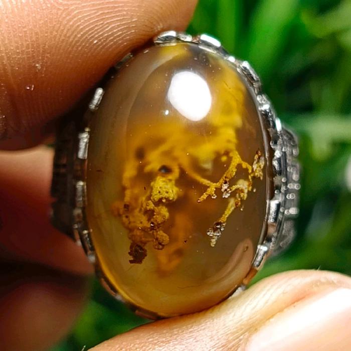 Cincin Batu Akik Akar Gingseng