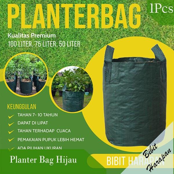 Planter Bag Hijau 150 200 250 Liter Pot Tanaman Planterbag Media Tanam Pot Tanaman Berkualitas