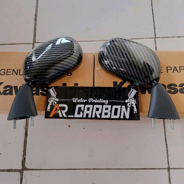 SPION KAWASAKI NINJA RR 150