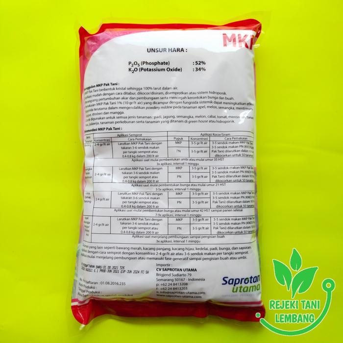 INSEKTISIDA DANGKE 40 WP 250 GRAM