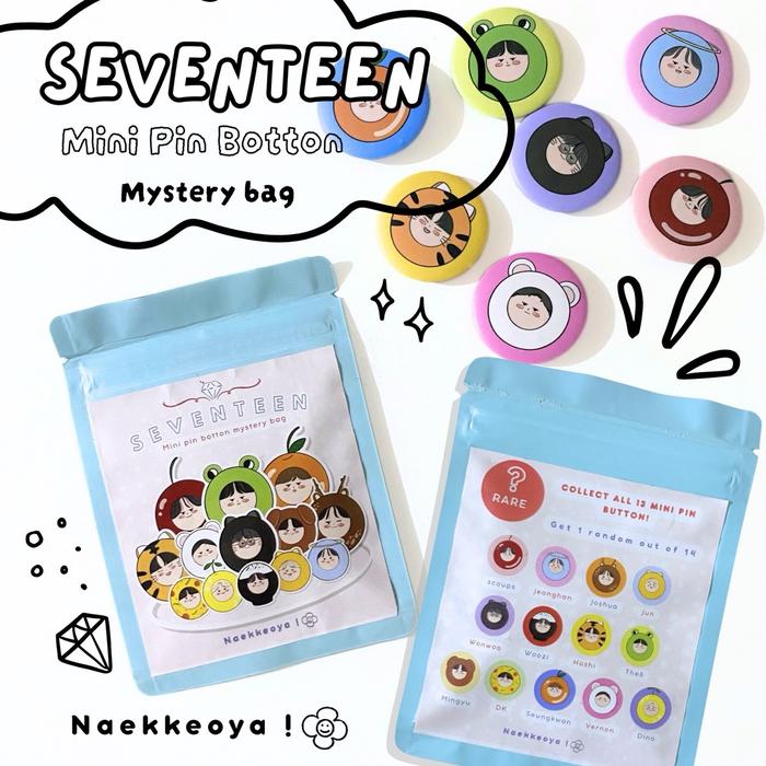 SEVENTEEN / DAY6 - CHARACTER MINI BROS PIN BOTTON CARAT MYDAY