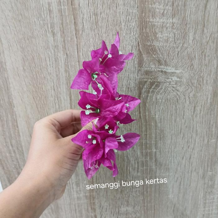 Semanggi bunga kembang kertas dan semanggi baby breath