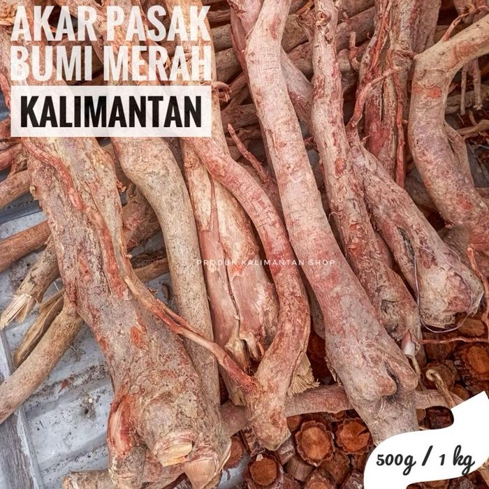 Akar Pasak-Bumi Merah Batangan, Tongkat Ali Merah