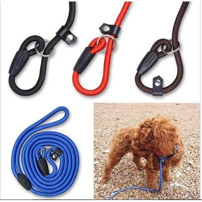 Dog Leash / Leash Anjing / Tali Anjing / Tali Tuntun Anjing Kecil