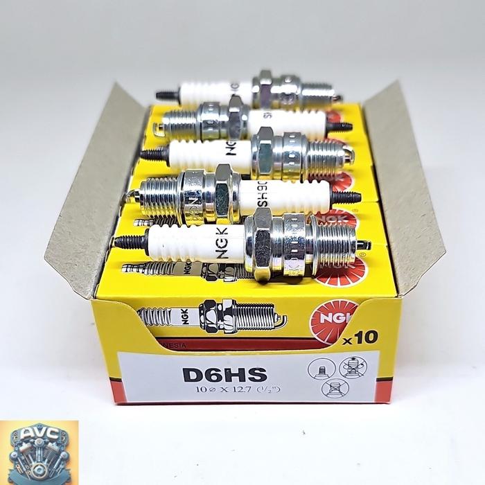 (Grosir : 10 PCS) Busi D6HS NGK