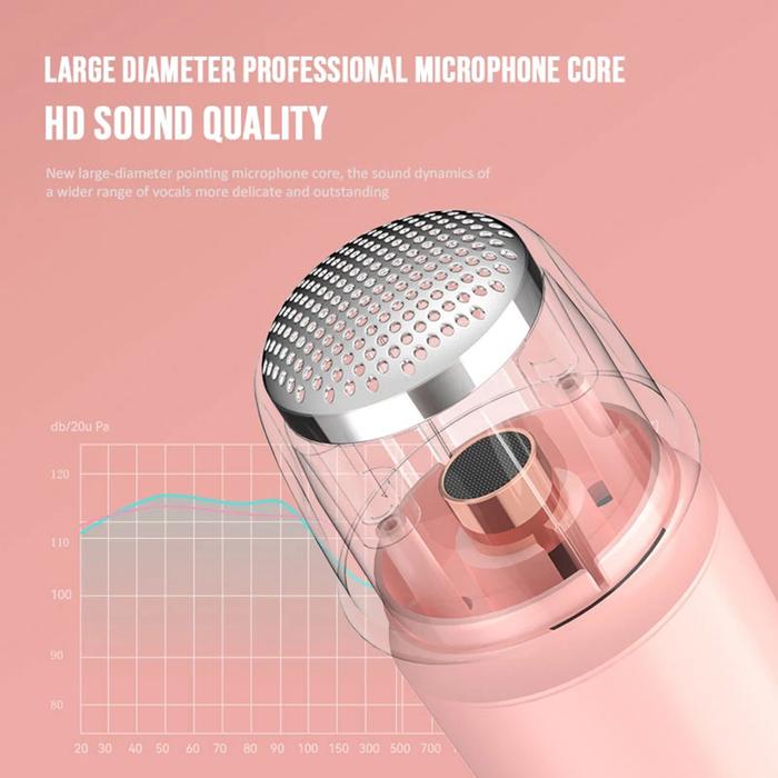 Mesin Karaoke Speaker dengan Mikrofon Luar Ruangan Portabel Mesin
