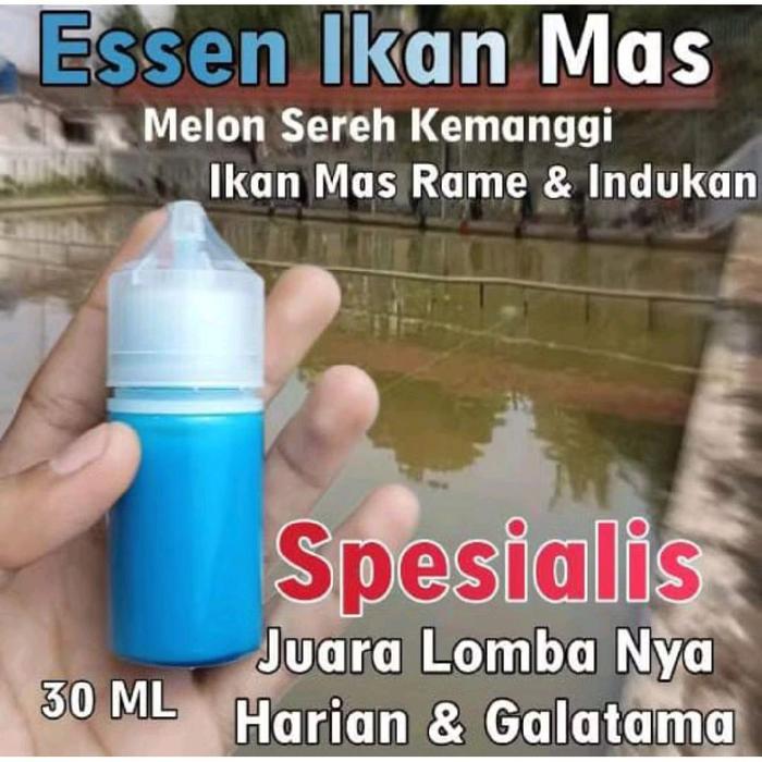 Essen Oplosan Ikan Mas, Essen Ikan Mas Paling Gacor, Essen Ikan Mas Indukan, Essen Ikan Mas Rame, Es