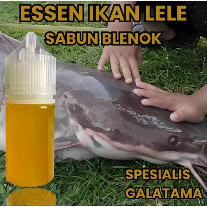 Essen ikan lele aroma sabun blenok spesialis galatama essen ikan lele paling jitu essen ikan lele ba