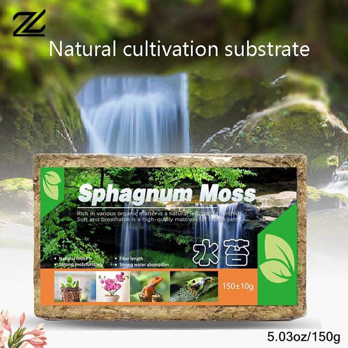 150g Natural Sphagnum Moss Orchid Potting Mix Orchid Sphagnum Moss
