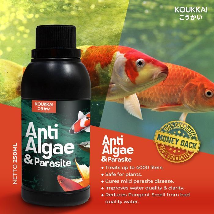Anti Alga & Parasit Koukkai 4000 liter air / Obat Lumut / Alga Remover