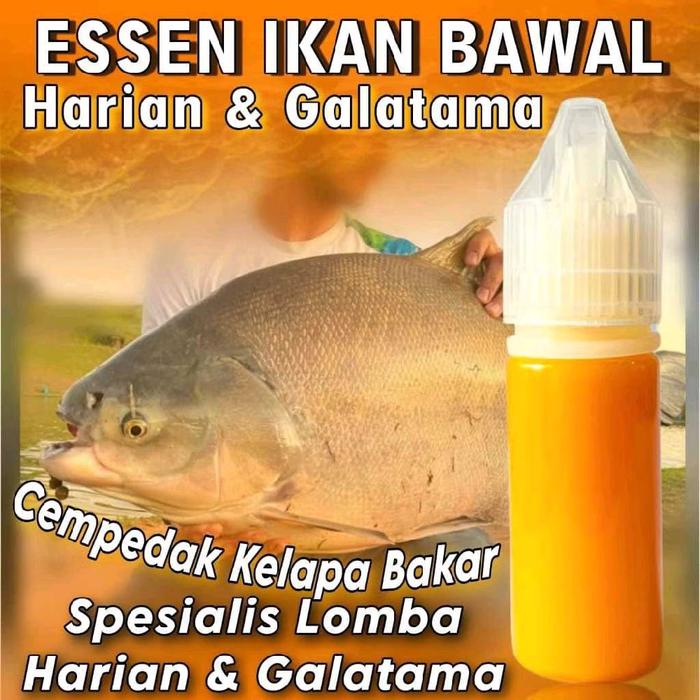 0Essen Ikan Bawal Harian KiloGebrus paling Ampuh Dan Gacor 15ml, Essen Ikan Bawal Media cacing, Esse