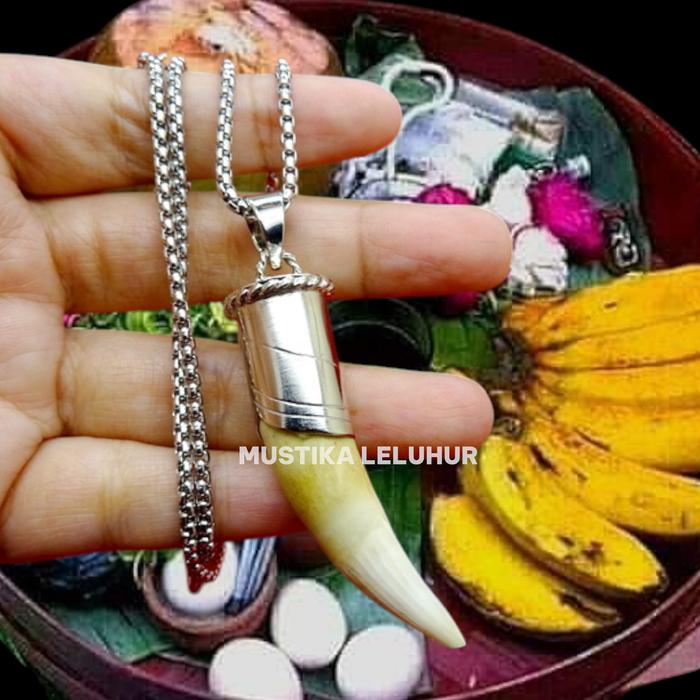 LIONTIN JIMAT TARING BUAYA PUTIH ASLI