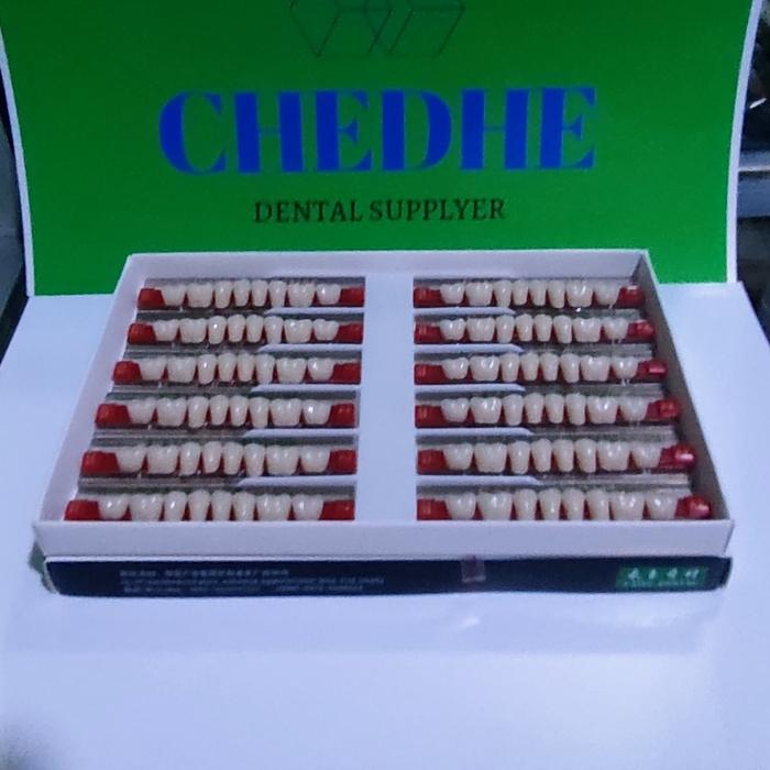 1 KOTAK GIGI POSTERIOR LOWER CAIYU / GIGI GERAHAM BAWAH