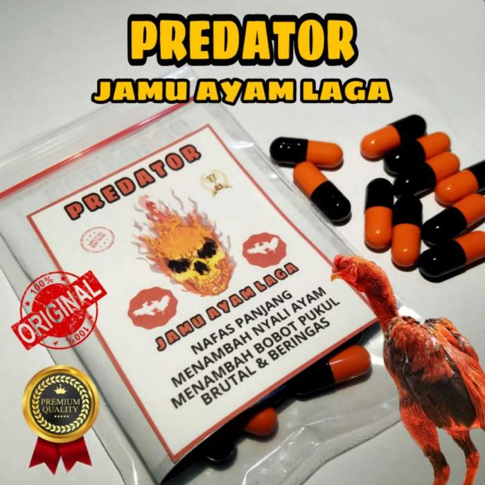 GANAS RED POWER 1 CEPUK RJ FARM ISI 50 BOLUS EXTRA FOODING PAKAN
