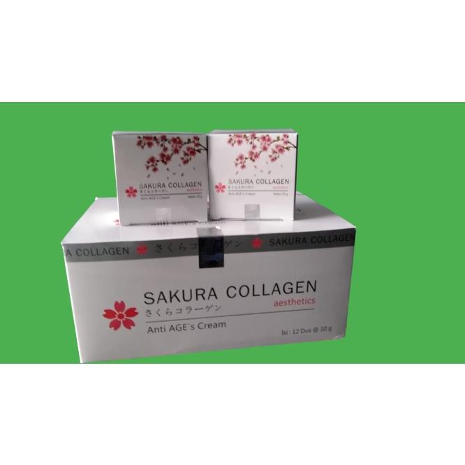 CREAM SAKURA COLLAGEN 10 GR // 30 GR