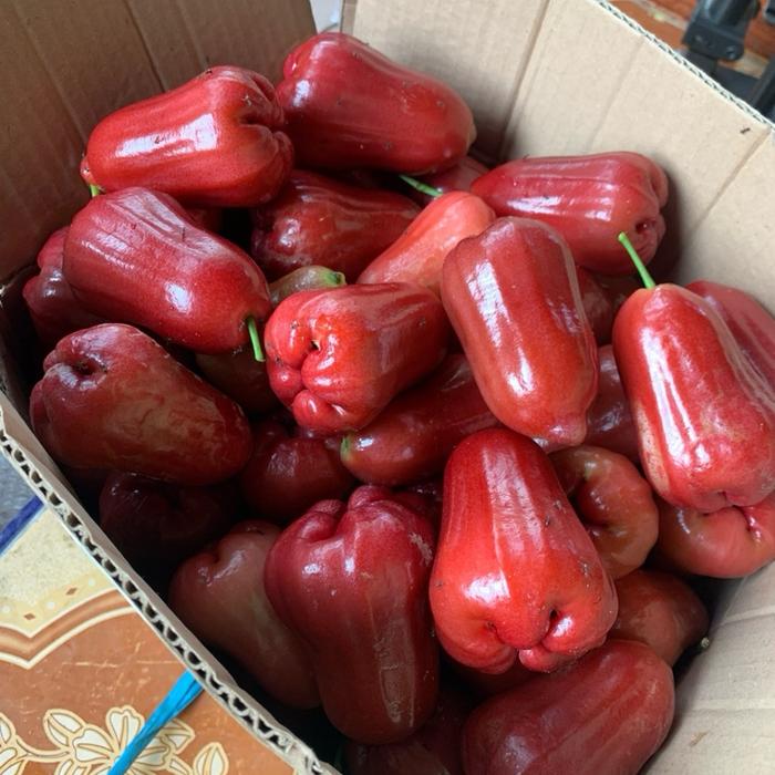 Paket orderan muarifa store jahe bubuk instan