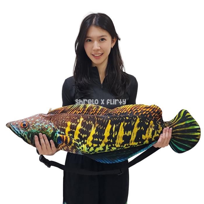 Tas Ikan Gabus Channa Auranti Besar Segar Kado Unik Kocak Bahan Kanvas Dengan Zipper Furing Print Da
