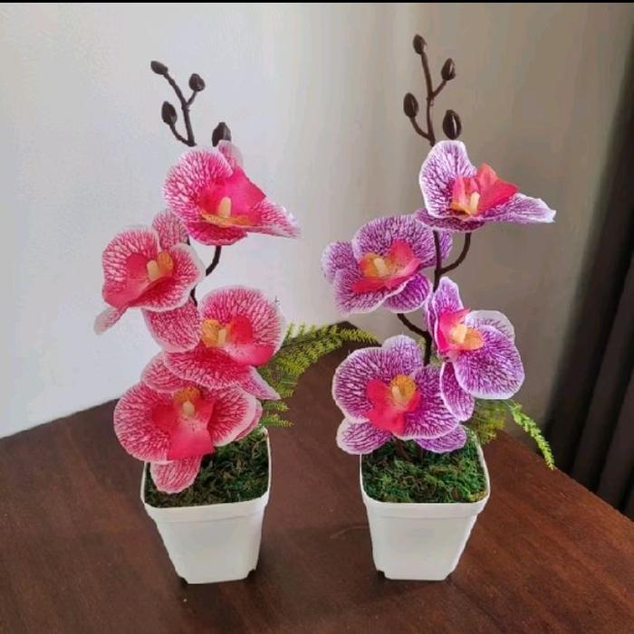 Bunga Anggrek Hias FREE VAS/POT estetik