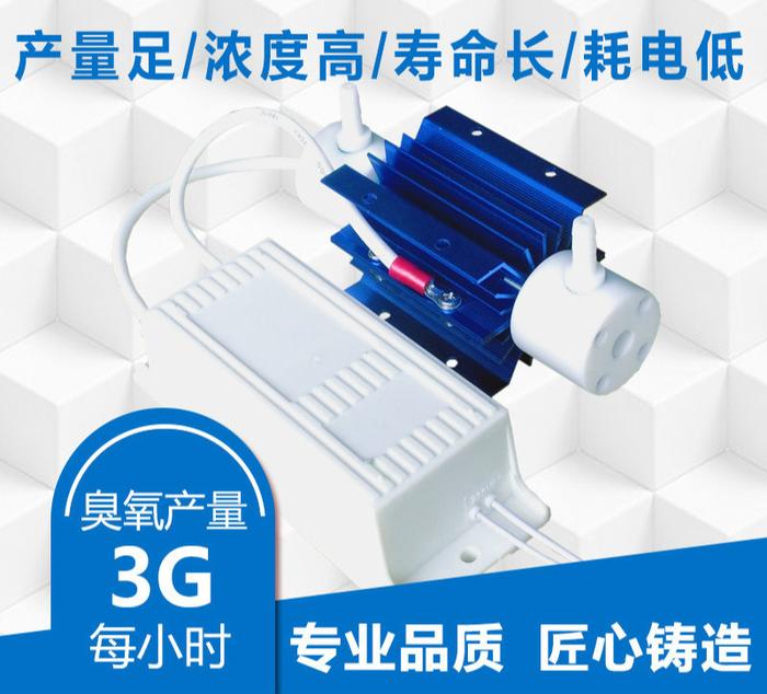 3g Ozone Generator Module 12v24V220v Power + Ozone Tube Space