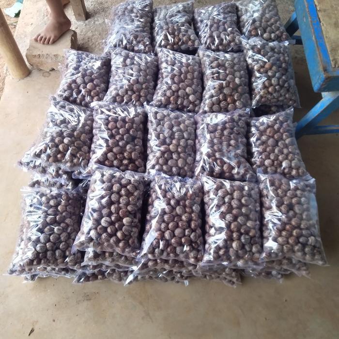 Biji Karet Kiloan Kualitas Terbaik Promo !