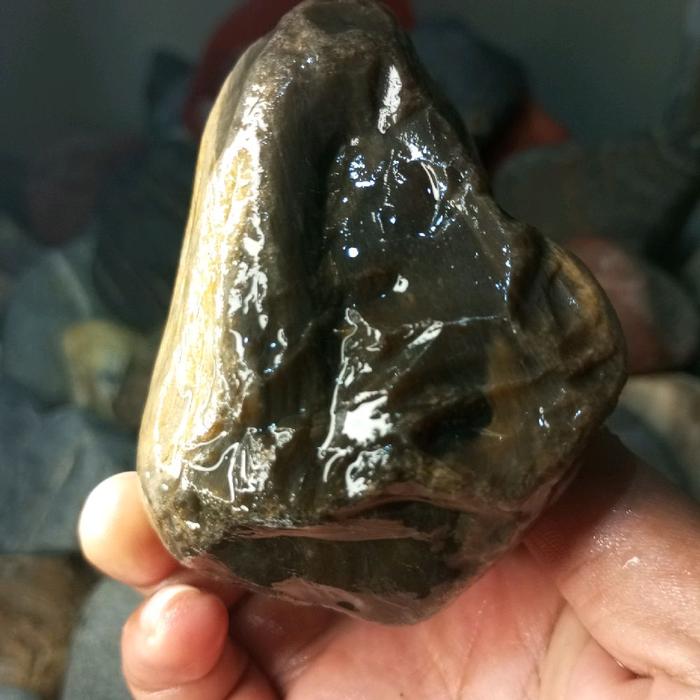 fosil kayu ganitri super kristal super langka tembus cahaya