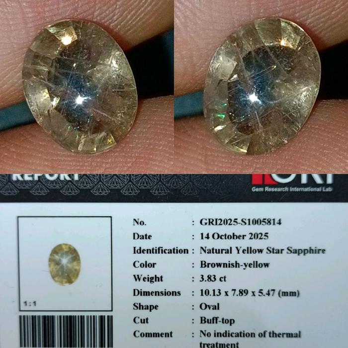 NATURAL STAR YELLOW SAPPHIRE BROWN YELLOW MEMO GRI LAB