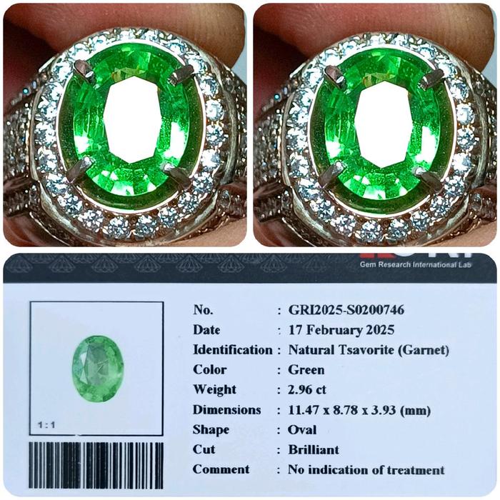 Natural Tsavorite Hijau Garnet Tanpa Perawatan GRI2025-S0200746 Berat 2.96 ct Bentuk Oval Potongan B
