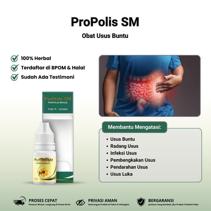 PROPOLIS SM - OBAT USUS BUNTU, OBAT GEJALA USUS BUNTU, OBAT RADANG USUS, OBAT INFEKSI USUS, OBAT PEM