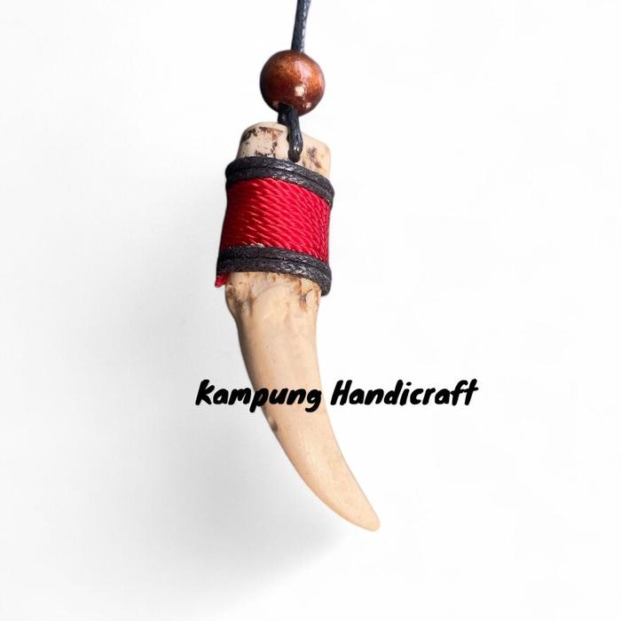 Kalung taring beruang taring macan replika 5 cm