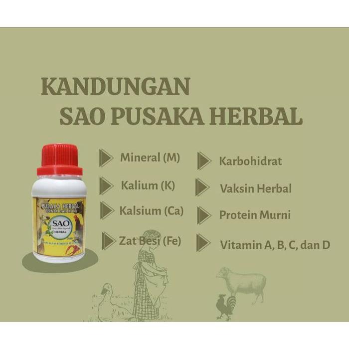 VGT nutrisi Ternak Babi probiotik vitamin ternak organik lebih baik