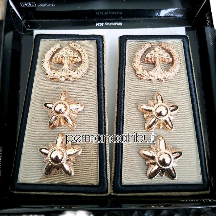 PIN BROS PANGKAT PDH ASN/PNS LAMPUNG 4B MIKA BORDIR EXLCUSIVE Elegan
