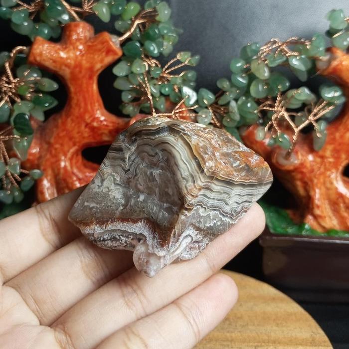 Batu Natural Mexico Agate pattern polished rough (4)