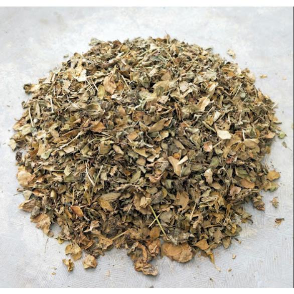 Daun kelor kering / daun moringa kering