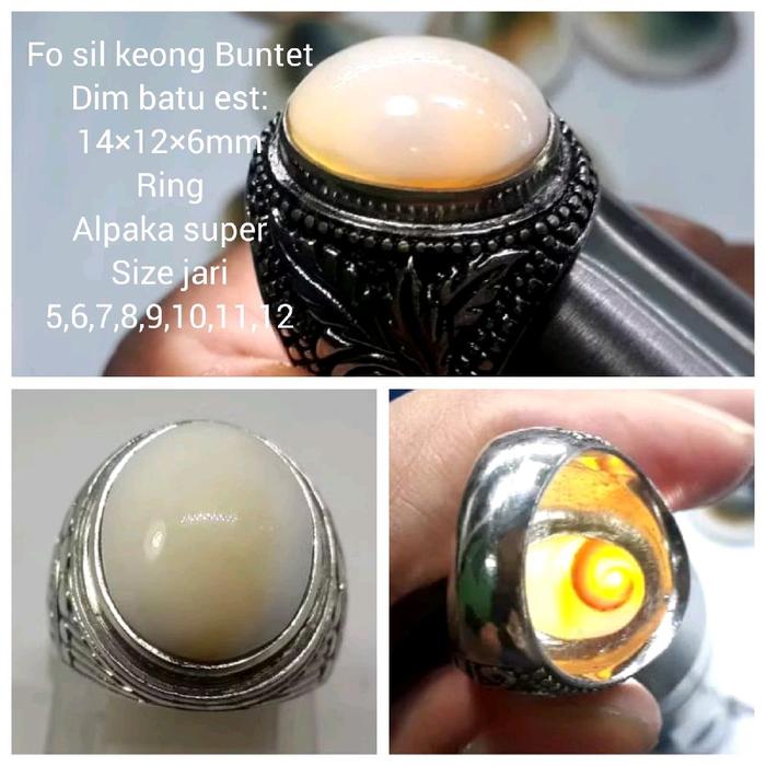 CINCIN BATU FO SIL KEONG PURBA NATURAL ALAM