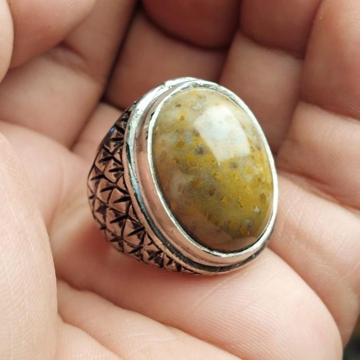 Batu cincin kayu aren / fo sil kayu aren asli natural elegan