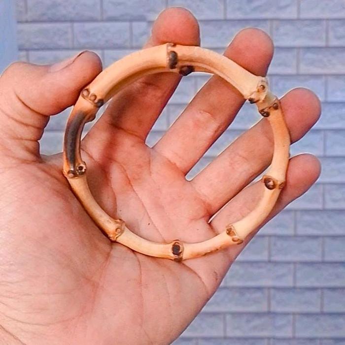 gelang bambu kuning cendani Akar