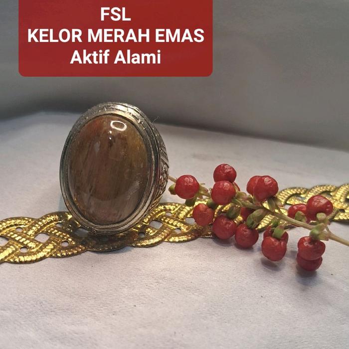 Natural Fosil GALIH KELOR Merah Emas Aktif Alami Les Bang Teras Gemunggal fokay | Cincin Batu Alam A