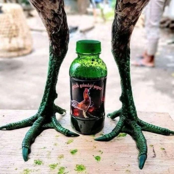 Vitgeen Plus Jamu Ayam Betina Indukan Petelur Vitamin Suplemen Ternak