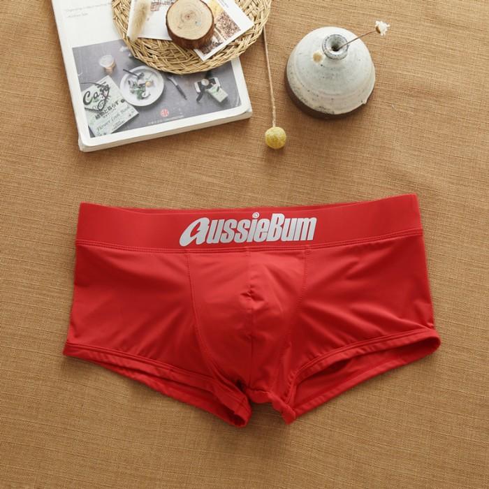 X☛M4 BX248. BOXER PRIA AUSSIEBUM. I➸WB