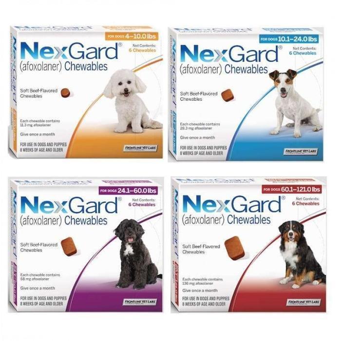 Obat Kutu Anjing Dan Demodex Nexgard Dog S / M / L / Xl