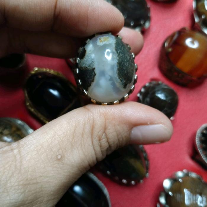 mustika klanceng putih cocok buat dagang usaha natural alam losdor 3 kali