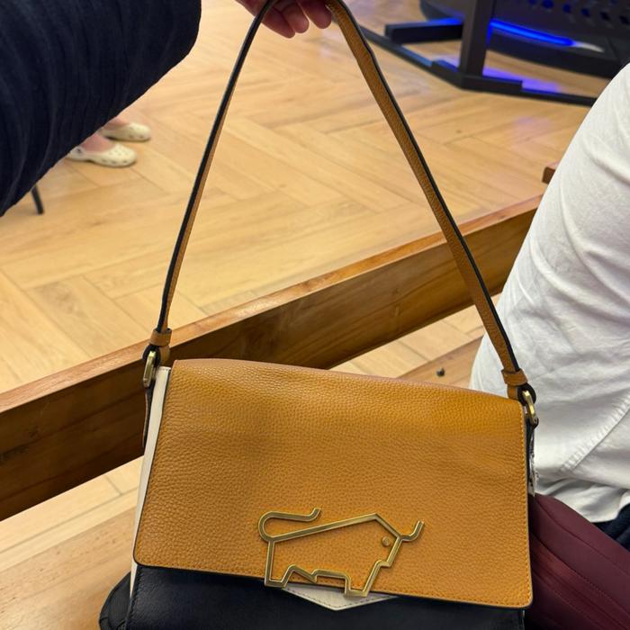 Braun buffel